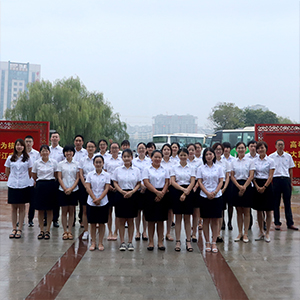 技術(shù)團(tuán)隊(duì)實(shí)力 - 定制無憂